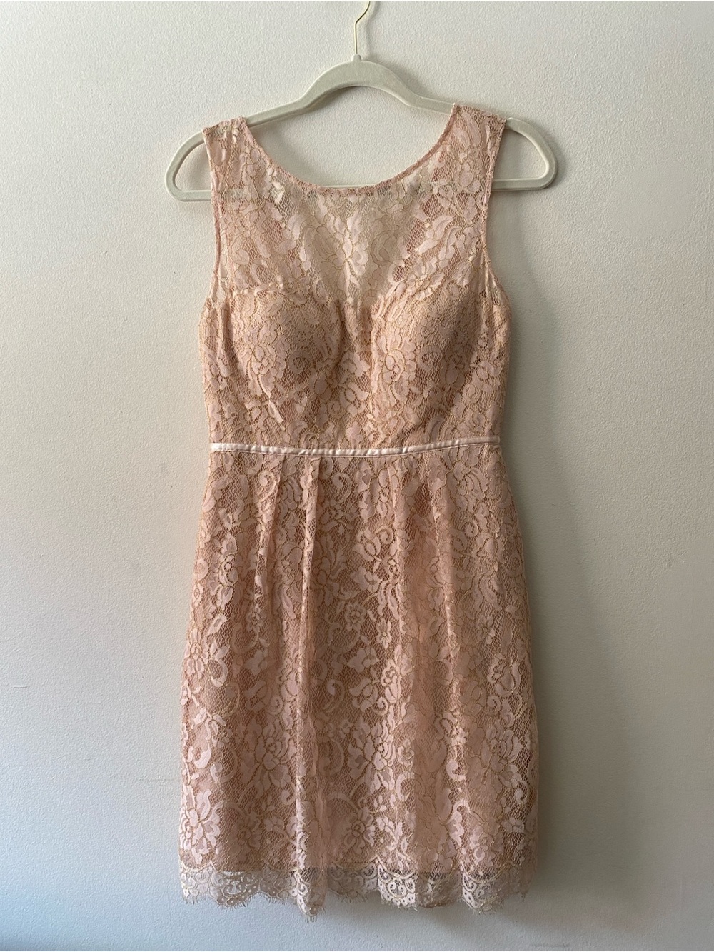Anthropologie BHLDN Sleeveless Blush Lace Cocktail Dress - Jenny Yoo Collection